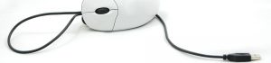 cropped-mse.jpg